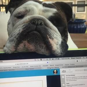 Meet your Posher, Shawn